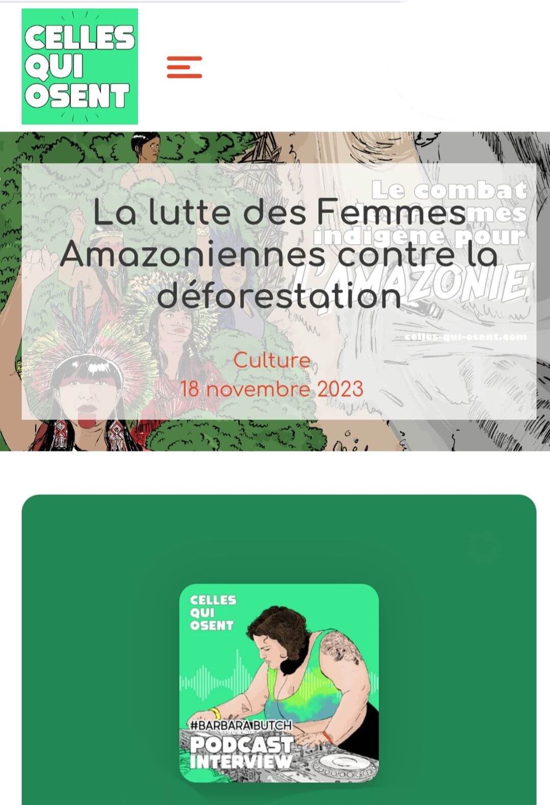 capture d'écran d'un article de blog sur la lutte des femmes indigènes pour l'amazonie